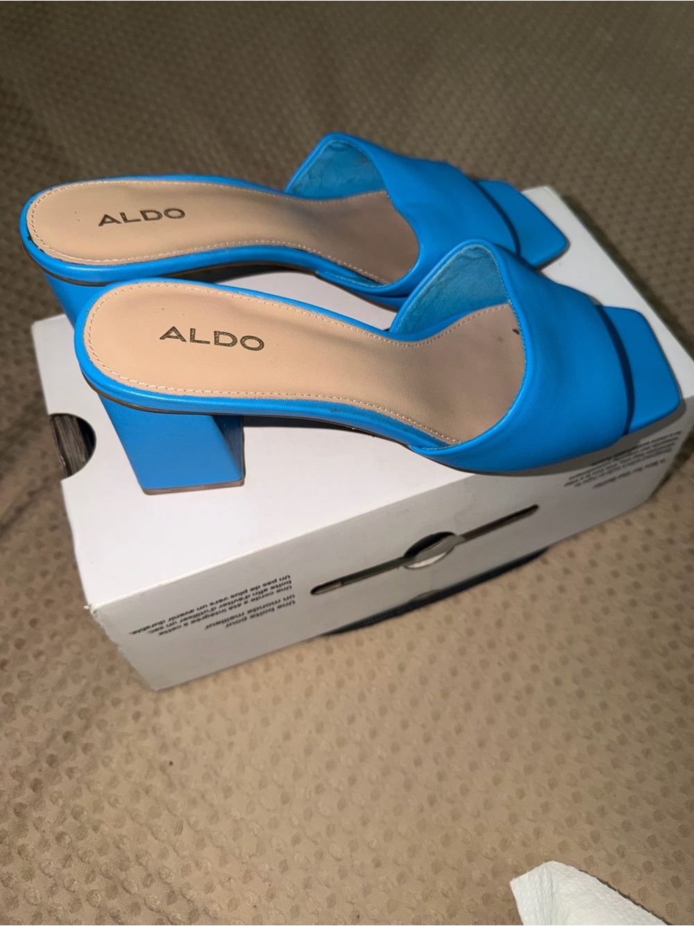 ALDO Blue Block Heel Slide Sandals